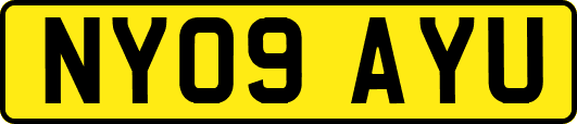 NY09AYU
