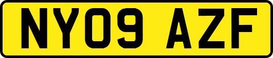 NY09AZF