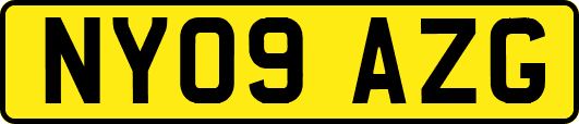 NY09AZG