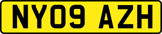 NY09AZH