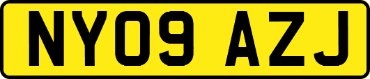 NY09AZJ
