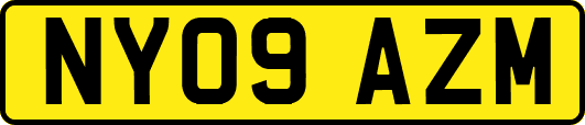 NY09AZM