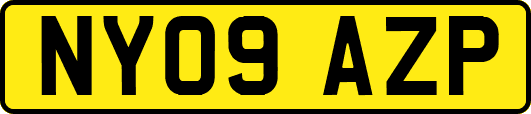 NY09AZP