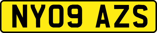 NY09AZS