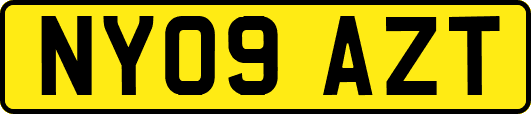 NY09AZT