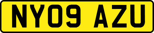 NY09AZU