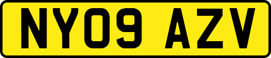 NY09AZV