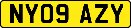 NY09AZY