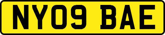 NY09BAE