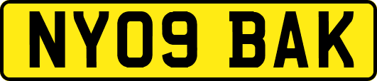 NY09BAK