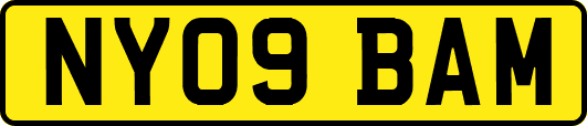 NY09BAM