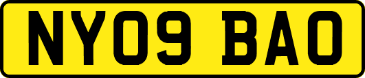 NY09BAO