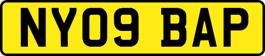 NY09BAP