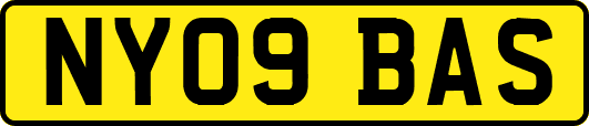 NY09BAS