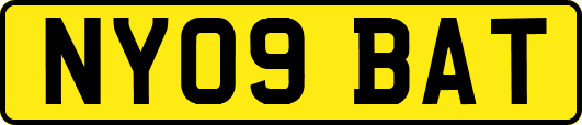 NY09BAT