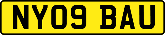 NY09BAU