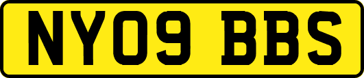 NY09BBS