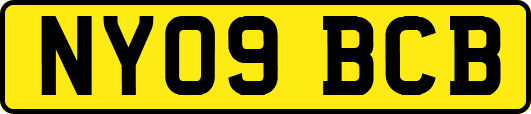 NY09BCB