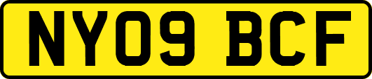 NY09BCF
