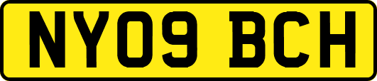NY09BCH