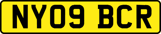 NY09BCR