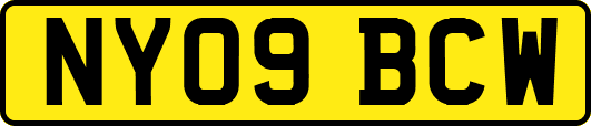 NY09BCW