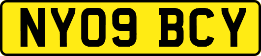 NY09BCY