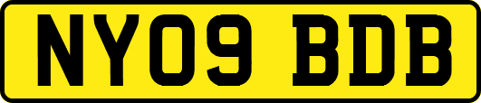 NY09BDB