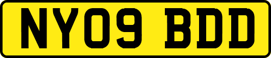 NY09BDD