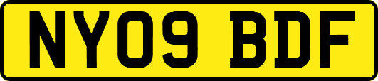 NY09BDF
