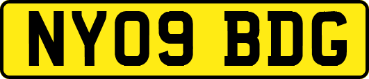 NY09BDG