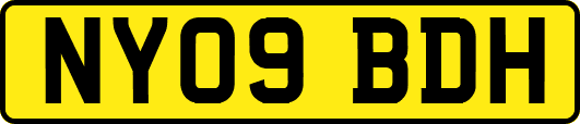 NY09BDH