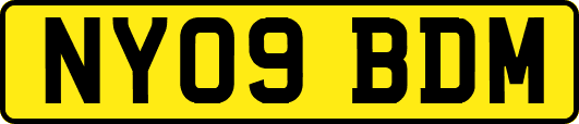 NY09BDM