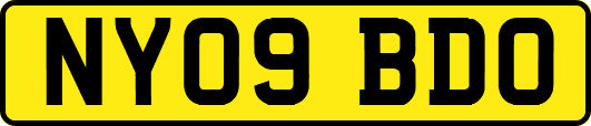 NY09BDO