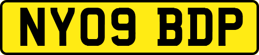 NY09BDP