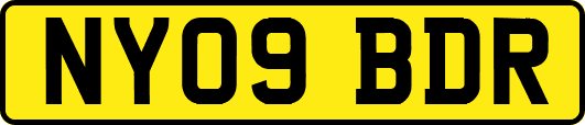 NY09BDR