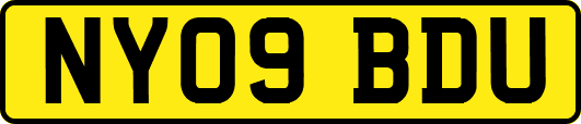 NY09BDU