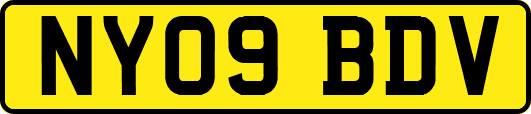 NY09BDV