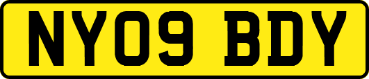 NY09BDY