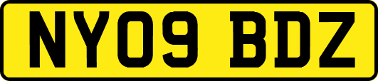 NY09BDZ