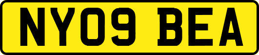 NY09BEA
