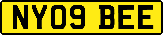 NY09BEE