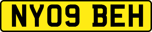 NY09BEH