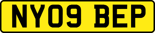 NY09BEP