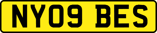NY09BES