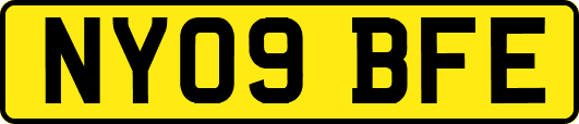 NY09BFE