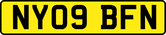 NY09BFN