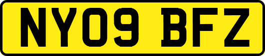 NY09BFZ