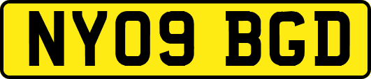 NY09BGD