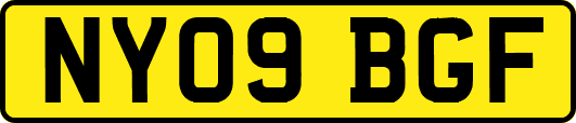 NY09BGF